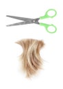 Blond lock of hair, metal open scissors white background isolated closeup, cut off natural blonde hair curl, steel shears