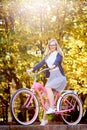 Blond long-haired attractive girl on pink lady bicycle in sunny autumn park on trees background. Royalty Free Stock Photo