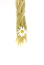 Blond shiny hair wave with chamomile flower, on white. Hairstyle, haircut in salon. Curl female healthy hair. Concept hairdresser