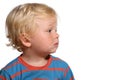 Blond two year old boy Royalty Free Stock Photo