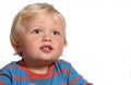 Blond two year old boy Royalty Free Stock Photo