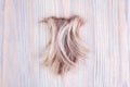 Blond wavy hair lock on light wooden background close up, cut off natural blonde hair curl on bright wood, haircut, hairstyle