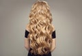 Blond woman with long beautiful hair. Back view.