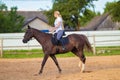 Blond woman with long hair jockey rider on a bay horse, in a paddock on a ranch Royalty Free Stock Photo