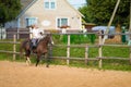 Blond woman with long hair jockey rider on a bay horse, in a paddock on a ranch Royalty Free Stock Photo