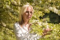 Beautiful young blonde woman standing near the apple tree. blond woman near blooming tree Royalty Free Stock Photo