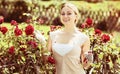 Blond woman taking care of red rose bushes Royalty Free Stock Photo