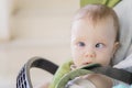 Blonde baby girl sitting in the stroller