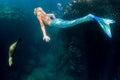 Blonde beautiful Mermaid diver underwater Royalty Free Stock Photo