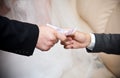 Blonde bride adjusting boutonniere on groom jacket Royalty Free Stock Photo