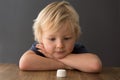 A young blonde boy sits across the table from a single marshmallow