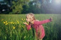 Blonde Caucasian girl walking in tall grass in meadow holding smelling yellow bulbous buttercup flower Royalty Free Stock Photo