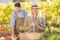 Blonde customer holding a vegetables basket Royalty Free Stock Photo