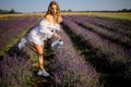 Blonde girl in lavender fields in spring or summer field watering the flowers in the garden Royalty Free Stock Photo