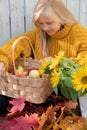 A blonde girl with long hair with a basket of apples and sunflowers. photo in the air