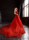 Blonde girl in a luxurious dress