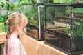Blonde girl in a medical mask looks at insects at the zoo. Exhibition farm of live tropical butterflies in the Exhibition Center