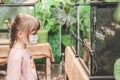 Blonde girl in a medical mask looks at insects at the zoo. Exhibition farm of live tropical butterflies in the Exhibition Center