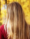 Blonde girl portrait at the autumn forest looking back view from back Royalty Free Stock Photo