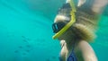 Blonde girl snorkelling amongst fish