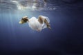 Blonde girl wrapped in fine white cloth, sank in blue deep water of ocean, against dark sea background.