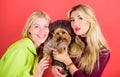 Blonde girls adore little cute dog. Women hug yorkshire terrier. Cute pet dog. Yorkshire terrier is very affectionate