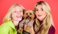 Blonde girls adore little cute dog. Women hug yorkshire terrier. Yorkshire terrier is very affectionate loving dog that