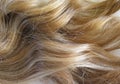 Blonde Hair Royalty Free Stock Photo
