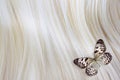 Blonde Hair with butterfly Royalty Free Stock Photo