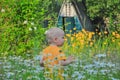 The blonde little boy costs in a dense high grass where camomiles grow Royalty Free Stock Photo