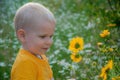 The blonde little boy costs in a dense high grass where camomiles grow Royalty Free Stock Photo