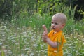 The blonde little boy costs in a dense high grass where camomiles grow Royalty Free Stock Photo