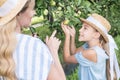 blonde mother and daughter picking green apples