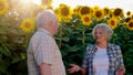 A blonde short haired old woman and a grey haired man are both standing in an astounding sunflower field having a Royalty Free Stock Photo