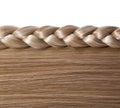 Blonde Straight Hair and Braid or Plait isolated