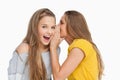 Blonde student whispering to her friend Royalty Free Stock Photo