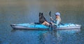 Blonde woman with black dog, Belgian Sheepdog, paddling a kayak and laughing and looking toward the camera Royalty Free Stock Photo