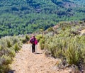 blonde woman with colorful backpack, cap and poles trekking on a path of sand and stones walking down a mountain across green Royalty Free Stock Photo