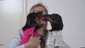 Blonde woman with glasses holds two cute dachshunds in her hands and kisses them, dogs reciprocate. Hyper-care and love