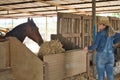 Blonde woman in a hat and jeans throwing food to a horse in a barn