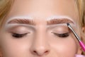 Blonde woman having permanent make-up tattoo on her eyebrows. Closeup beautician doing tattooing eyebrow. Green eyes close up. Royalty Free Stock Photo
