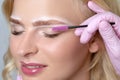 Blonde woman having permanent make-up tattoo on her eyebrows. Closeup beautician doing tattooing eyebrow.Professional makeup and Royalty Free Stock Photo