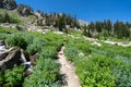 Blonde woman hiker wearing a backpack treks across a meadow along the Lake Solitude trail in Grand Teton National Park Wyoming Royalty Free Stock Photo