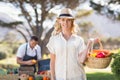 Blonde woman holding a vegetables basket Royalty Free Stock Photo