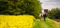 Laughing blonde woman sits on her horse in a blooming rapeseed field, houses and forest are out of focus in the background. Royalty Free Stock Photo