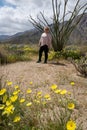 Blonde woman stands posing next to an Ocotillo cactus plant in Anza Borrego Desert State Park in California Royalty Free Stock Photo