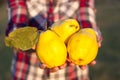 Blonde woman with three quinces in her hand.