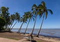 A blonde woman sitting on a bench at a tropical beach with palm trees Royalty Free Stock Photo