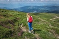 Woman traveler, girl with backpack walking mountains summer outside Royalty Free Stock Photo