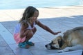 Blonde 4 year old girl caresses a dog
